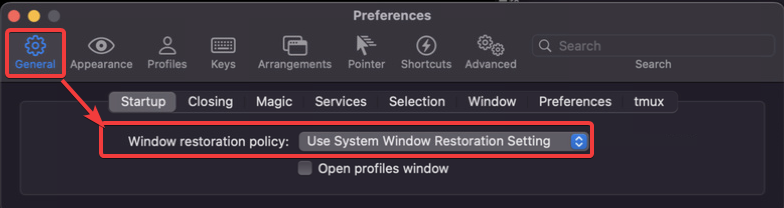 iterm2-session-2